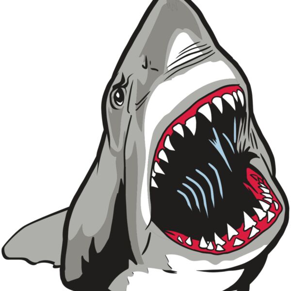 AR20 SHARK 45 RQC Thumbnail