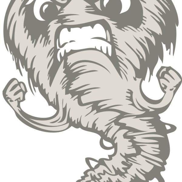 BAW STORM 07 RC Thumbnail